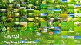  Presentation with animal nature - Presentation theme featuring animal print - nature wallpaper background all image background and a tawny brown colored foreground