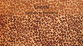  Presentation with animal print - Colorful slides enhanced with animal print - spots backdrop and a red colored foreground