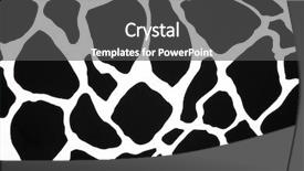  Presentation with animal print - Slide deck with animal print - unique background pattern background and a dark gray colored foreground