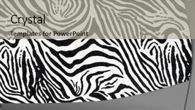  Presentation with animal print - Amazing PPT theme having animal print - zebra fabric background backdrop and a light gray colored foreground