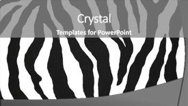  Presentation with animal print - Amazing slide set having animal print - zebra pattern backdrop and a gray colored foreground