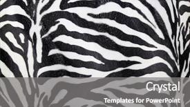  Presentation with animal print - Audience pleasing presentation design consisting of animal print - zebra skin background backdrop and a gray colored foreground