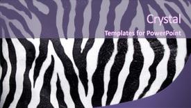  Presentation with animal print - Audience pleasing theme consisting of animal print - zebra skin background backdrop and a violet colored foreground