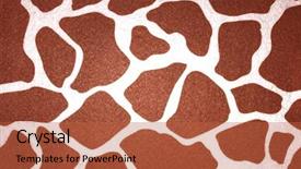  Presentation with cheetah print - Amazing theme having animal print cheetah - brown and white spots backdrop and a red colored foreground