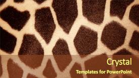  Presentation with cheetah print - Slides having animal print cheetah - giraffe pattern background and a tawny brown colored foreground