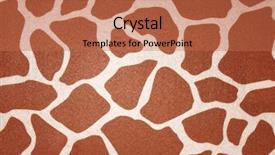  Presentation with cheetah print - Amazing slide deck having animal print cheetah - giraffe spots backdrop and a coral colored foreground