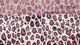  Presentation with skin - Presentation theme enhanced with animal print cheetah - jaguar skin pattern for background background and a coral colored foreground