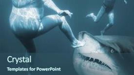  Presentation with life insurance - Beautiful PPT theme featuring animal protection - shark attack life insurance concept backdrop and a ocean colored foreground