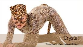  Presentation with my role model - Presentation theme with animal puma - hot beautiful model in latex background and a  colored foreground