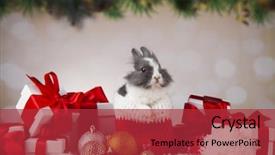 Presentation with bunny - Amazing theme having animal rabbit bunny on christmas backdrop and a red colored foreground