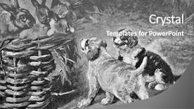  Presentation with engraving - Slides enhanced with animal reproduction - puppies and hare engraving background and a gray colored foreground