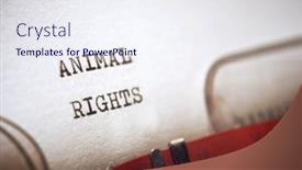  Presentation with animal rights - Presentation theme featuring animal-rights-phrase-written background and a  colored foreground