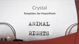  Presentation with animal rights - PPT theme having animal-rights-phrase-written background and a white colored foreground