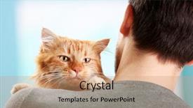  Presentation with 3d man sitting question mark - Theme featuring animal s family - fluffy red cat sitting background and a coral colored foreground