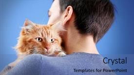  Presentation with cat - Colorful PPT layouts enhanced with animal s family - fluffy red cat sitting backdrop and a teal colored foreground