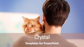  Presentation with 3d man sitting question mark - Audience pleasing slide deck consisting of animal s family - fluffy red cat sitting backdrop and a coral colored foreground