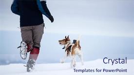  Presentation with dog park dogs plays - Audience pleasing theme consisting of animal s family - man playing with his dog backdrop and a sky blue colored foreground