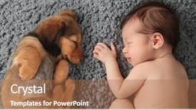  Presentation with sleeping baby - PPT theme enhanced with animal s family - newborn baby girl sleeping next background and a coral colored foreground