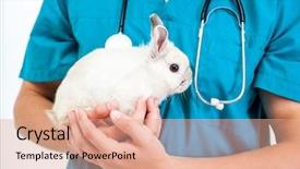  Presentation with cute science - Theme consisting of animal science - cute doctor veterenarii background and a coral colored foreground