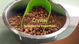  Presentation with pet food - PPT theme consisting of animal selection - metal bowl with dry pet background and a tawny brown colored foreground