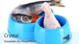  Presentation with plastic - Colorful slide deck enhanced with animal selection - natural food for pets backdrop and a light blue colored foreground