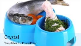  Presentation with pets - Audience pleasing theme consisting of animal selection - natural food for pets backdrop and a cyan colored foreground