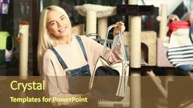  Presentation with pet - Slides having animal selection - pretty young woman selecting carrier background and a tawny brown colored foreground