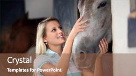  Presentation with teenage girl - Presentation theme featuring stroke profile - blond teenage girl stroking horse background and a tawny brown colored foreground