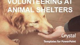  Presentation with animal rescue - Slides featuring food rescue - concept of volunteering at animal background and a coral colored foreground