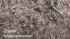  Presentation with cheap - Audience pleasing PPT layouts consisting of animal skin - background of a cheap faux backdrop and a gray colored foreground