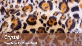  Presentation with skin - Beautiful slides featuring animal skin - leopard fur background backdrop and a  colored foreground