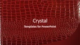  Presentation with leather - Theme enhanced with animal skin - red leather products background and a tawny brown colored foreground