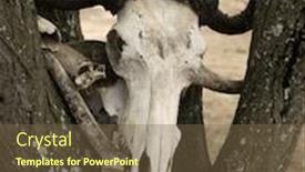  Presentation with serengeti africa - PPT theme consisting of animal skull in tree in serengeti tanzania africa background and a tawny brown colored foreground