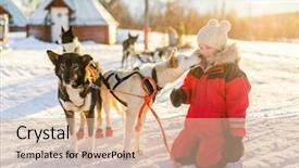 Presentation with dog sled - Colorful presentation theme enhanced with animal teamwork - adorable girl having a cuddle backdrop and a lemonade colored foreground