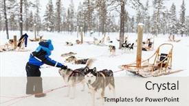  Presentation with dog sled - Beautiful slide set featuring animal teamwork - adorable little girl having backdrop and a soft green colored foreground