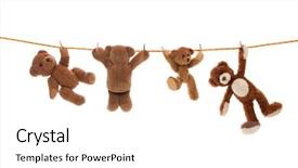  Presentation with clothing - Colorful presentation theme enhanced with animal teamwork - hanging group of teddy bears backdrop and a white colored foreground