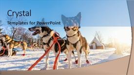  Presentation with husky - Slide deck having animal teamwork - husky kennel visit in northern background and a light blue colored foreground