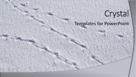  Presentation with animal - PPT theme featuring animal traces in fresh snow background and a light gray colored foreground