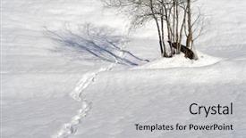  Presentation with track field - Presentation design enhanced with animal track in a snowy background and a  colored foreground