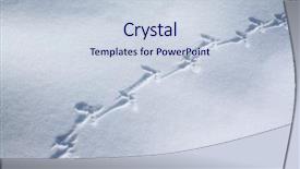  Presentation with white snow - Presentation having animal tracks - capercaillie trace on white snow background and a lemonade colored foreground