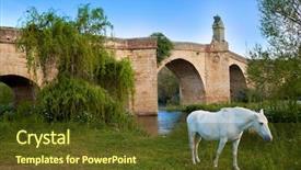  Presentation with white horse - Audience pleasing slide set consisting of animal tracks - galisteo bridge and white horse backdrop and a tawny brown colored foreground