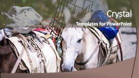  Presentation with goods and services tax gst - Cool new PPT layouts with animal tracks - old donkey carrying goods backdrop and a tawny brown colored foreground
