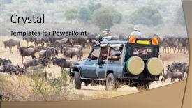  Presentation with great migration - PPT layouts enhanced with animal tracks - photographers on a safari vehicle background and a lemonade colored foreground