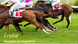 Presentation with horses - Beautiful PPT theme featuring animal tracks - race horses with jockeys backdrop and a tawny brown colored foreground