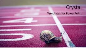  Presentation with race track - Cool new slides with animal tracks - snail on a white background backdrop and a soft green colored foreground