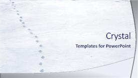  Presentation with animal print - Amazing PPT theme having animal tracks in snow backdrop and a sky blue colored foreground