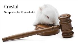  Presentation with animal rights - PPT theme having animal welfare background and a white colored foreground