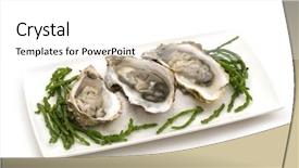  Presentation with pearls and oysters - Audience pleasing PPT layouts consisting of animalia - opened oysters on white background backdrop and a  colored foreground