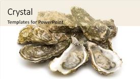  Presentation with pearls and oysters - Amazing slide deck having animalia - opened oysters on white background backdrop and a lemonade colored foreground
