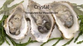  Presentation with white marble plate marble - Cool new theme with animalia - opened oysters on white plate backdrop and a  colored foreground